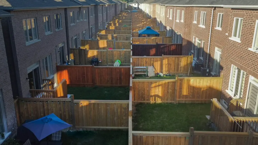 A row of backyards divided by fences
